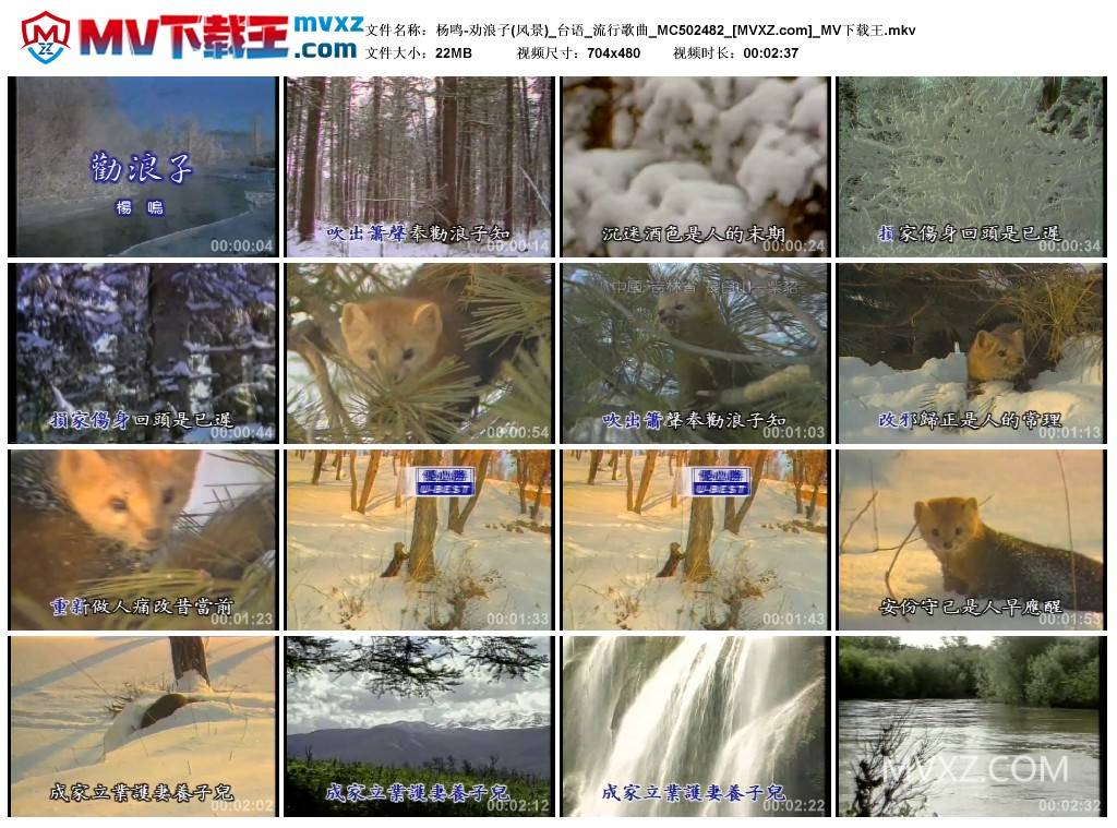 杨鸣-劝浪子(风景)_台语_流行歌曲_MC502482